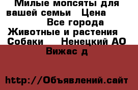 Милые мопсяты для вашей семьи › Цена ­ 20 000 - Все города Животные и растения » Собаки   . Ненецкий АО,Вижас д.